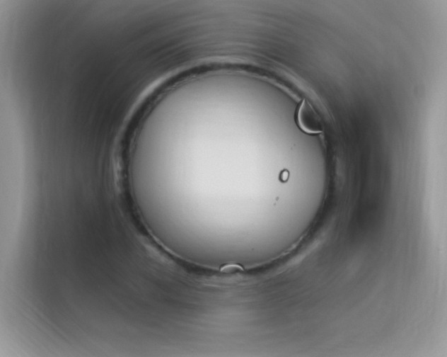 X0000114230926200910091445