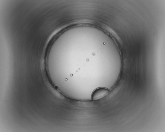 X0000114230928200910091445
