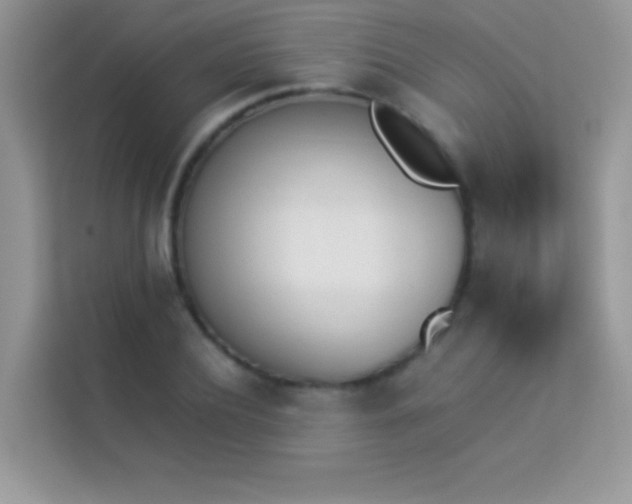 X0000114230932200910091445