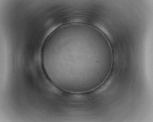 X0000114230933200910091445