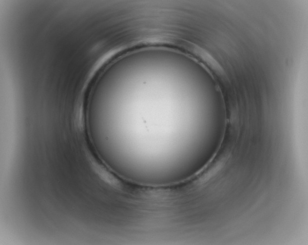 X0000114230934200910091445