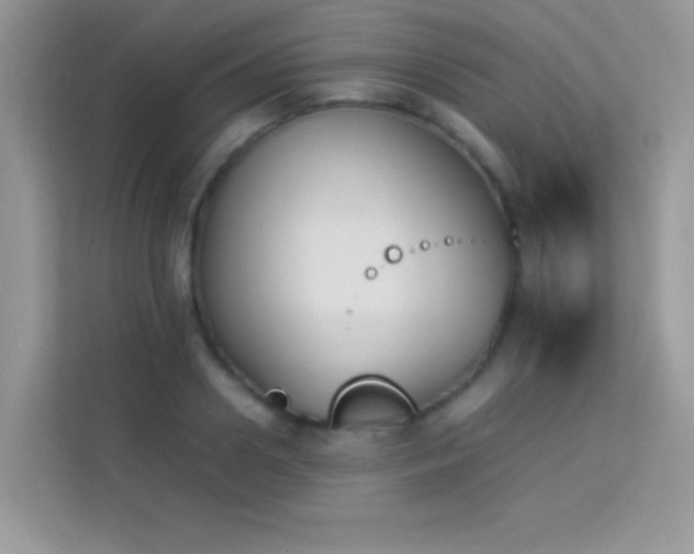 X0000114230938200910091445