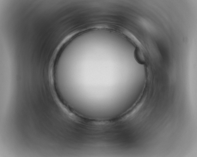 X0000114230939200910091445