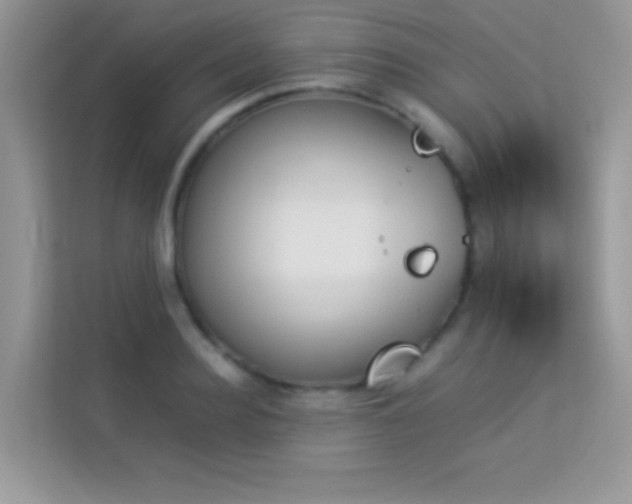 X0000114230940200910091445