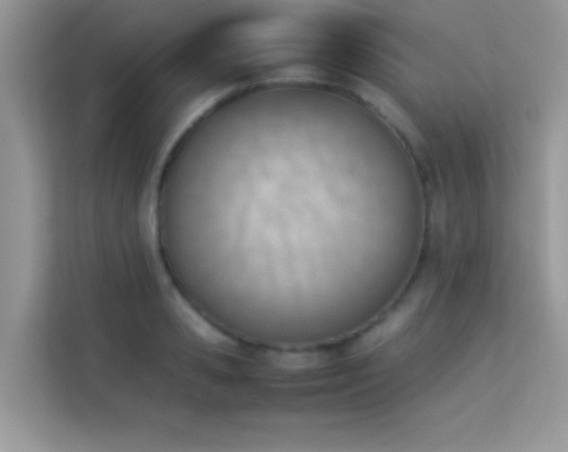 X0000114230941200910091445