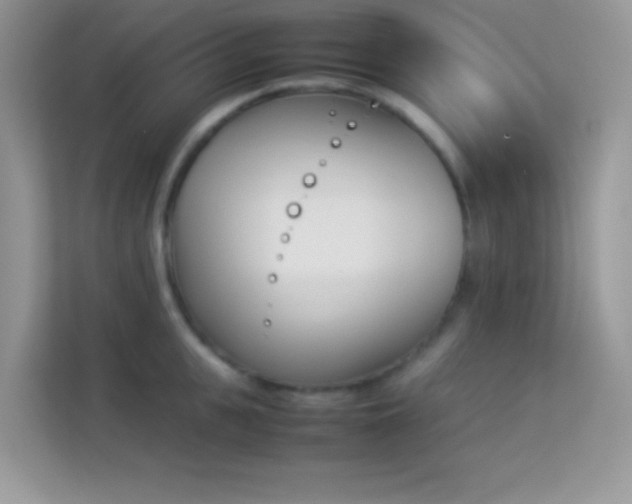 X0000114230951200910091446