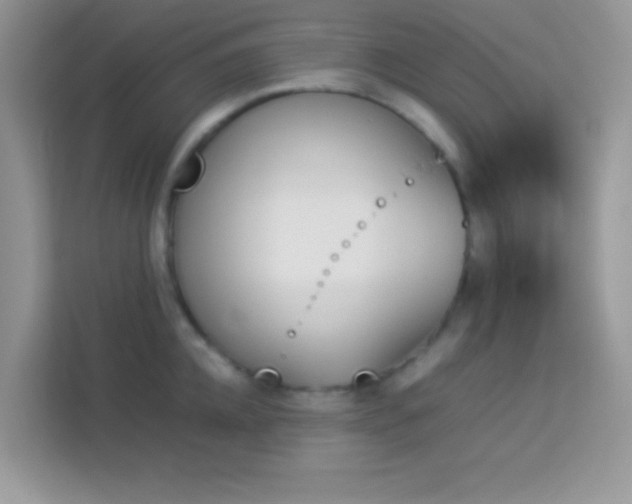 X0000114230952200910091446