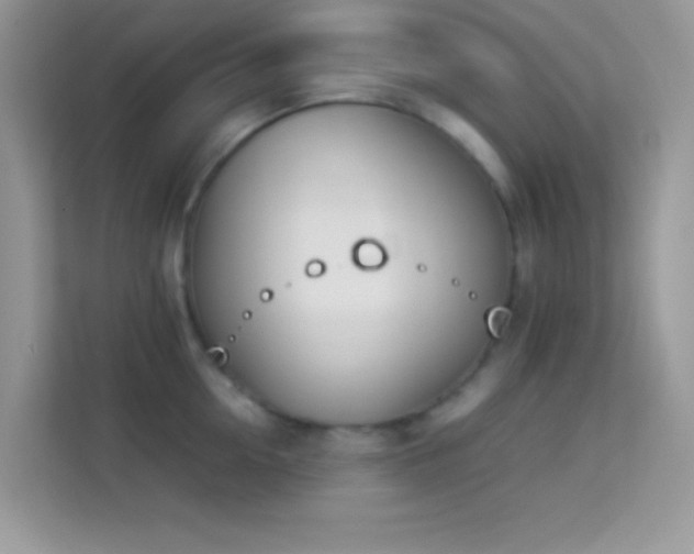 X0000114230954200910091446