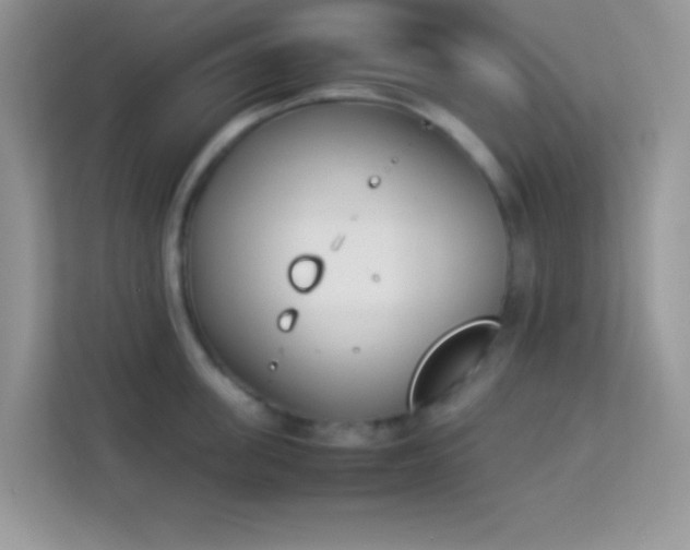 X0000114230955200910091446