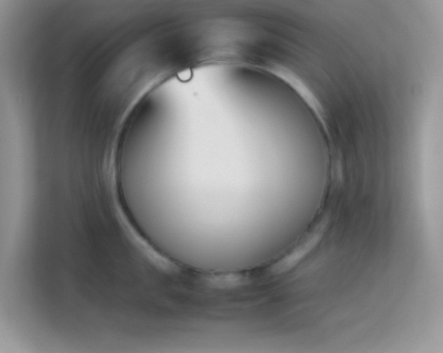 X0000114230957200910091446