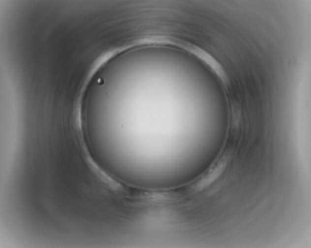 X0000114230958200910091446