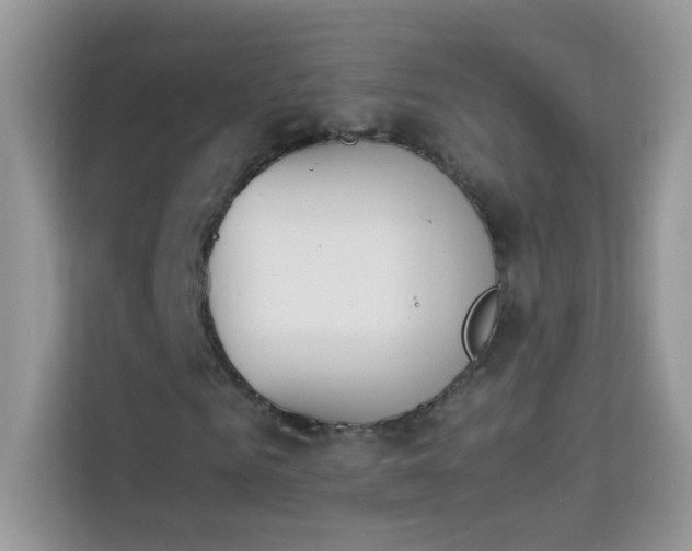 X0000114230961200910091445