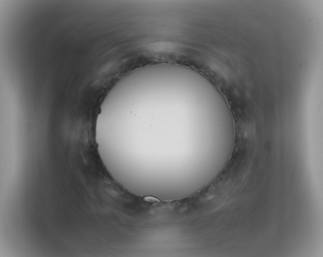 X0000114230965200910091445