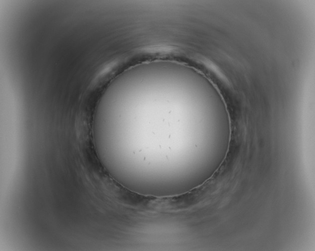 X0000114230967200910091445