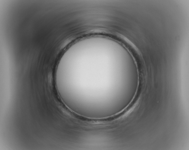 X0000114230969200910091445