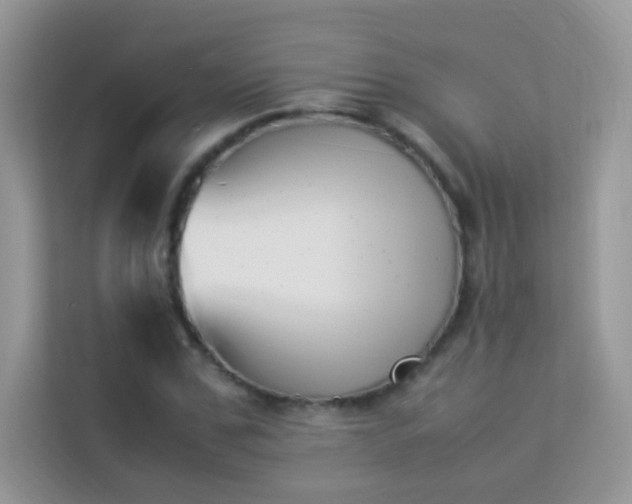 X0000114230971200910091445