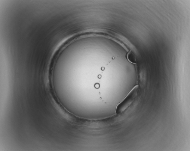 X0000114230972200910091445