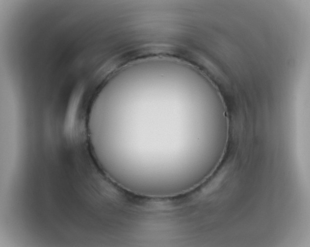 X0000114230977200910091445