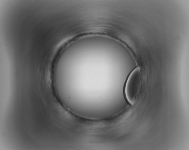 X0000114230979200910091445