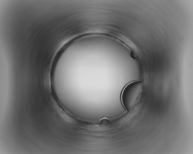 X0000114230980200910091445