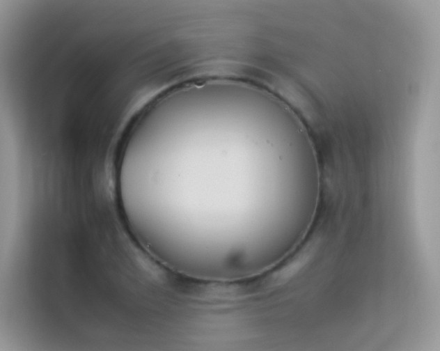 X0000114230981200910091445