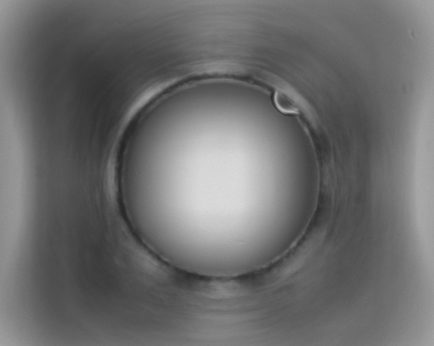 X0000114230983200910091445