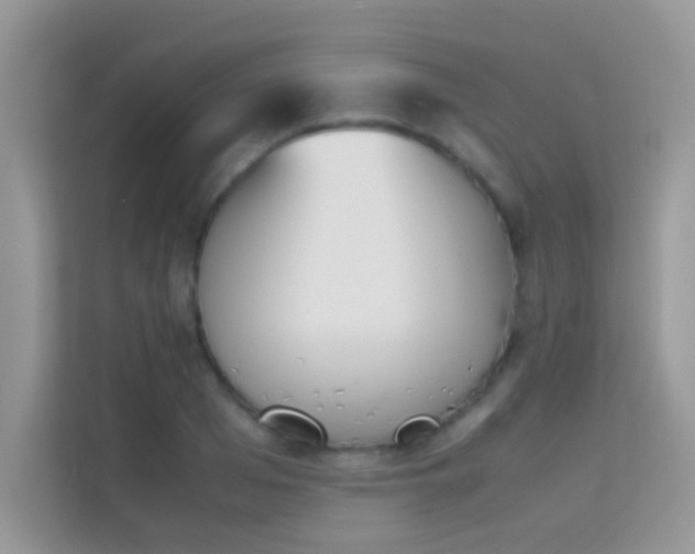 X0000114230985200910091445