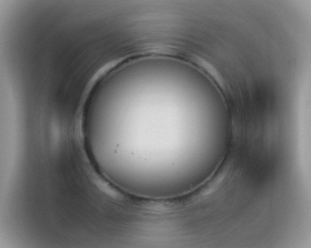 X0000114230987200910091445