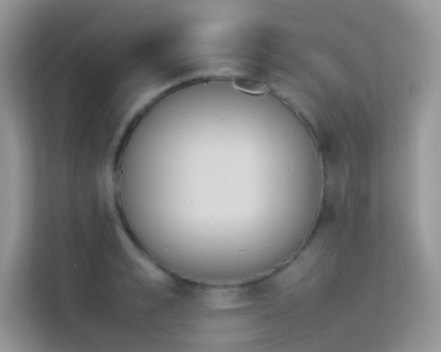 X0000114230989200910091445