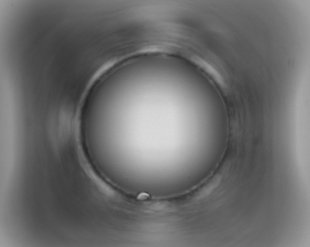 X0000114230991200910091445