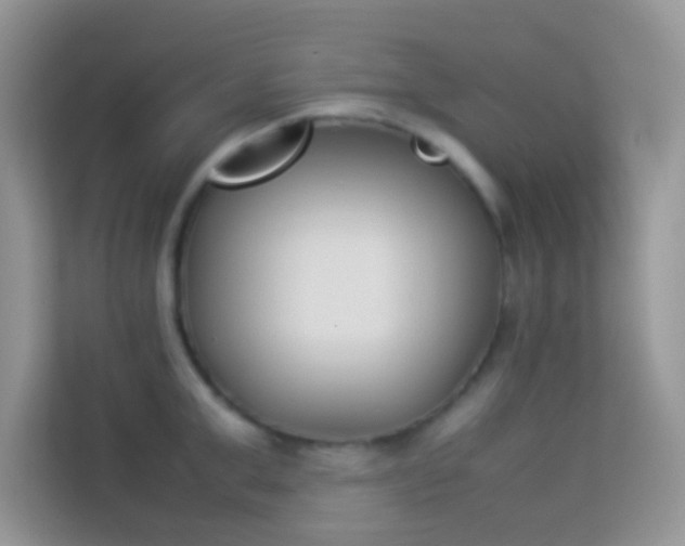X0000114230999200910091445