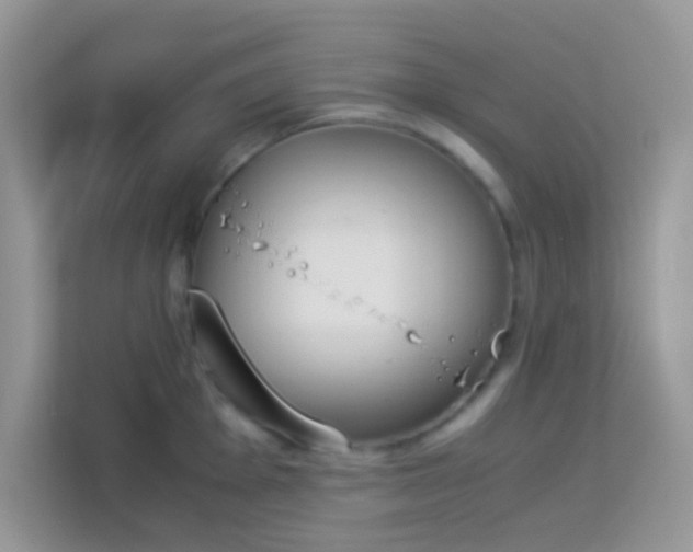 X0000114231001200910091445