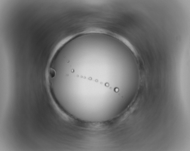 X0000114231003200910091444