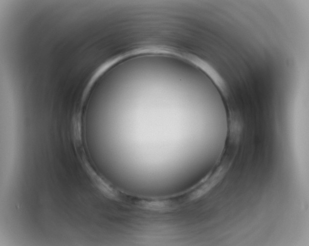 X0000114231004200910091444