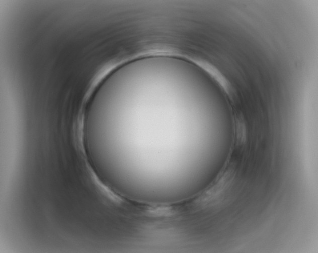 X0000114231006200910091444