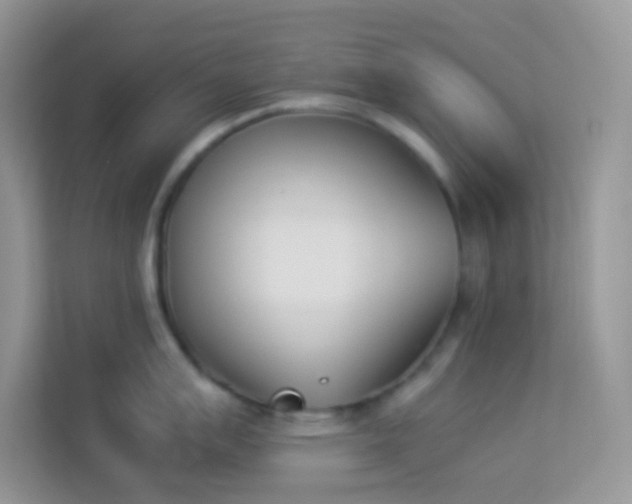 X0000114231007200910091444