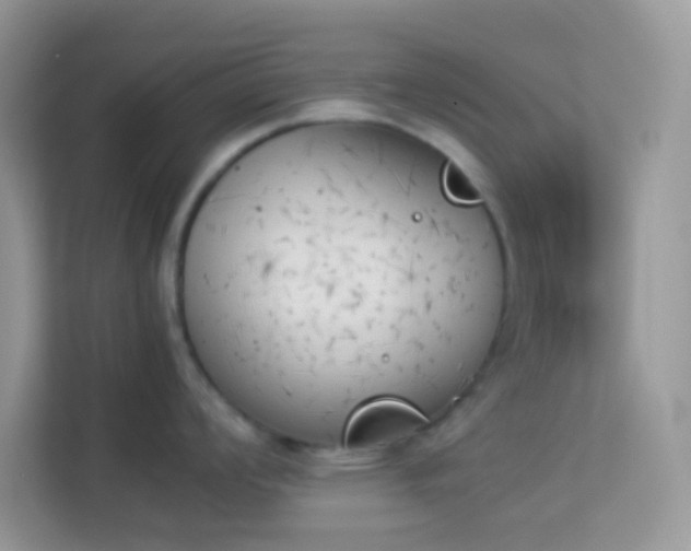 X0000114231008200910091444
