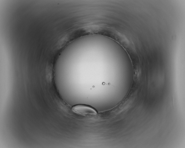X0000114231012200910091444