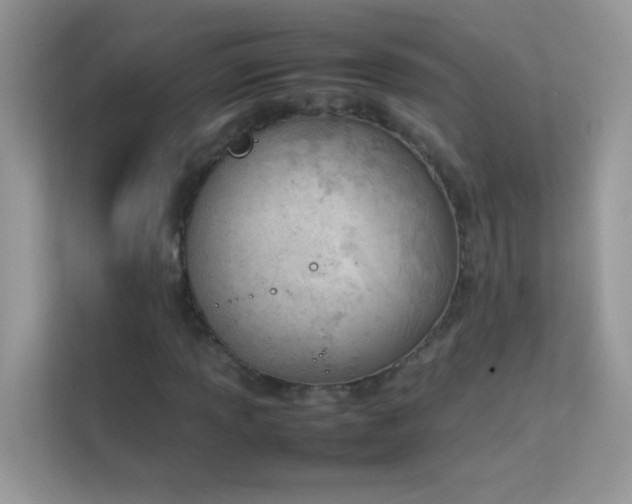 X0000114231013200910091444