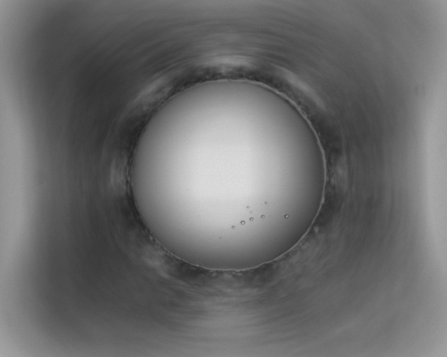X0000114231014200910091444