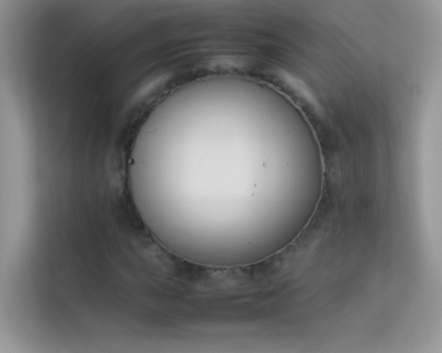 X0000114231015200910091444