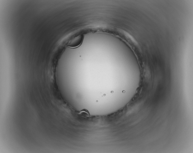 X0000114231016200910091444