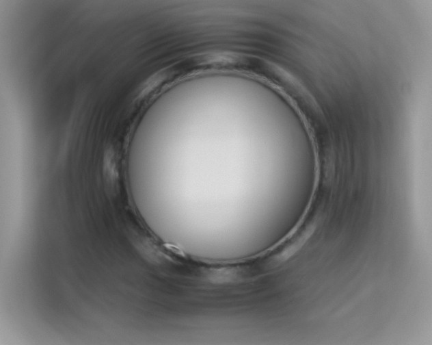 X0000114231017200910091444