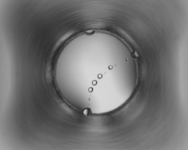 X0000114231018200910091444