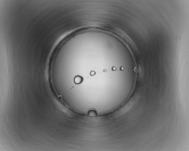 X0000114231020200910091444