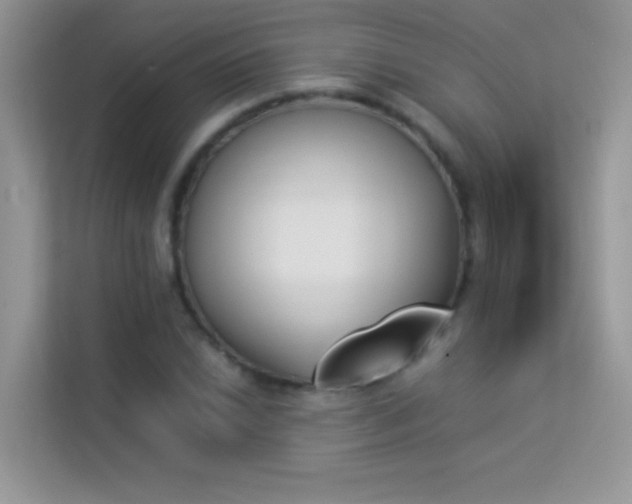X0000114231022200910091444