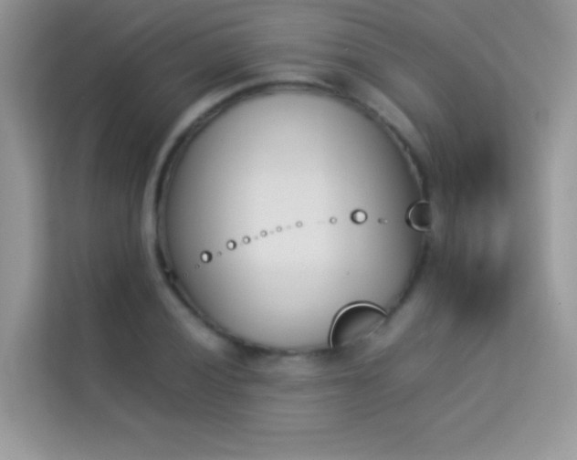 X0000114231028200910091444