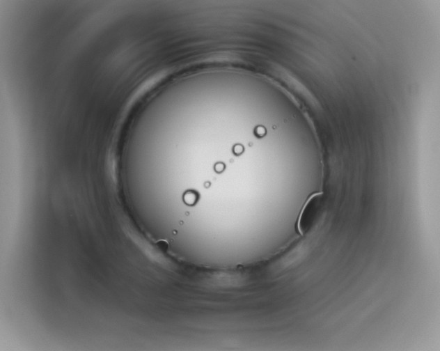 X0000114231029200910091444