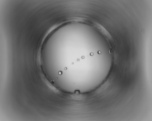 X0000114231036200910091444