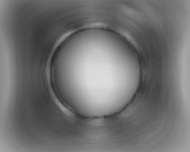 X0000114231038200910091444
